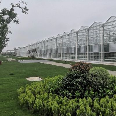 Stahlkonstruktion Tropfbewässerung Glas Gewächshaus für Pflanzen Dachdecken Form eines Dachtyps