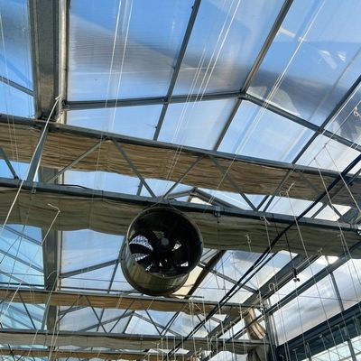 Stahlkonstruktion Tropfbewässerung Glas Gewächshaus für Pflanzen Dachdecken Form eines Dachtyps