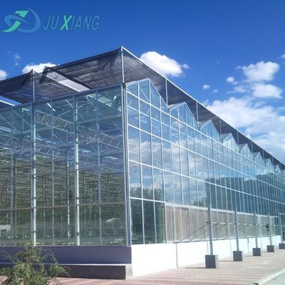 Stahlkonstruktion Tropfbewässerung Glas Gewächshaus für Pflanzen Dachdecken Form eines Dachtyps