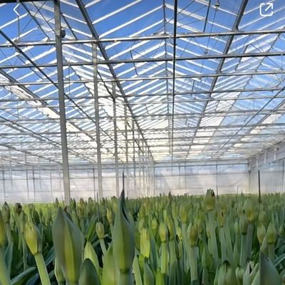Mehrspannendes Schattierungsschirmsystem Glas Gewächshaus Paket Größe 50,00cm * 60,00cm * 80,00cm