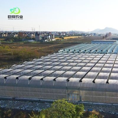 Individuelles Gewächshaus mit mehreren Spannweiten für hydroponische Tomaten/Gurken/Pfeffer/Erdbeeren