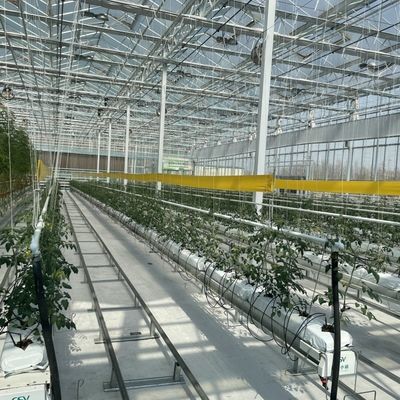 Mehrspannendes Schattierungsschirmsystem Glas Gewächshaus Paket Größe 50,00cm * 60,00cm * 80,00cm