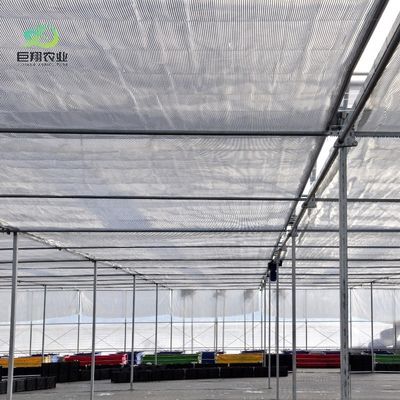 Individuelles Gewächshaus mit mehreren Spannweiten für hydroponische Tomaten/Gurken/Pfeffer/Erdbeeren