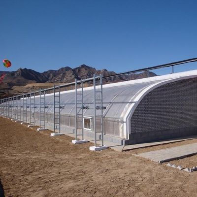 JX-Arch Gewächshaus für die hydroponische Landwirtschaft von Tomaten und Erdbeeren