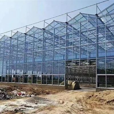 20 US-Dollar pro Quadratmeter Ju Xiang Glasgewächshaus für den Anbau von Gemüse