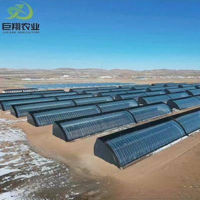 JX-Arch Gewächshaus für die hydroponische Landwirtschaft von Tomaten und Erdbeeren