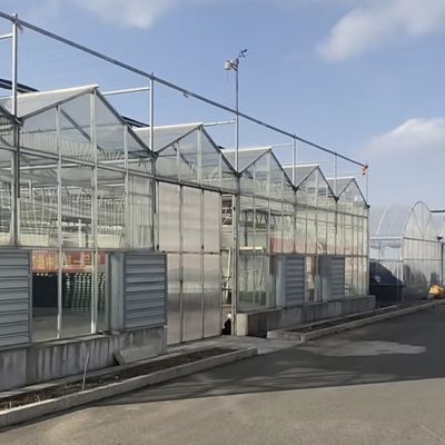 Einlageglas-Gewächshaus für den Gartenbau