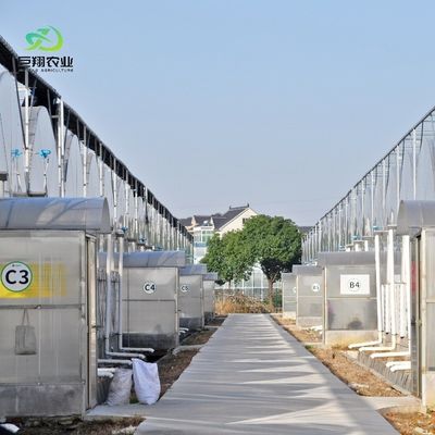8m 9,6m 12m angepasste Span Film Kunststoff Landwirtschaft mit Hydroponik Anbausystem