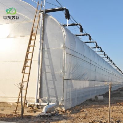 8m 9,6m 12m angepasste Span Film Kunststoff Landwirtschaft mit Hydroponik Anbausystem