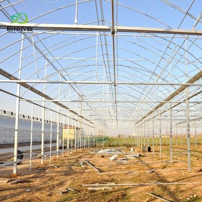 8m 9,6m 12m angepasste Span Film Kunststoff Landwirtschaft mit Hydroponik Anbausystem