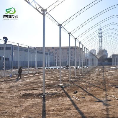 8m 9,6m 12m angepasste Span Film Kunststoff Landwirtschaft mit Hydroponik Anbausystem