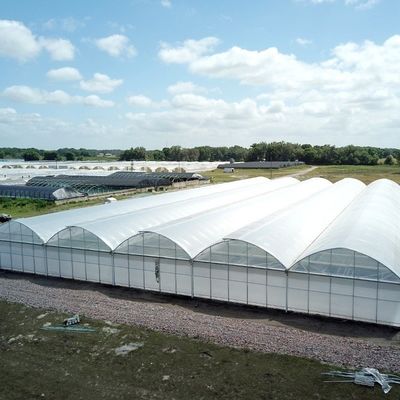 8m 9,6m 12m angepasste Span Film Kunststoff Landwirtschaft mit Hydroponik Anbausystem