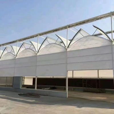 8m 9,6m 12m angepasste Span Film Kunststoff Landwirtschaft mit Hydroponik Anbausystem