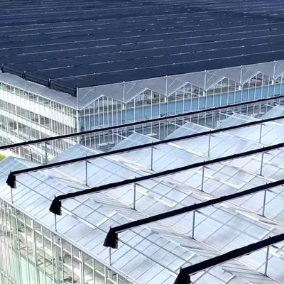 Flotglas Gewächshaus für den Anbau von Pflanzen Paketgröße 50,00cm * 60,00cm * 80,00cm