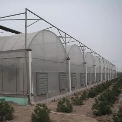 Hydroponik-Bewässerungssystem für Erdbeeren/Blumen/Gemüse Mehrspannungsrahmen aus Stahlverzinktem Kunststoff Gewächshaus
