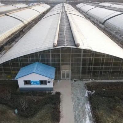 Hot-DIP Galvanized Steel Pipe Structure Multi-Span Gewächshaus für hydroponisches System und verschiedene Pflanzen