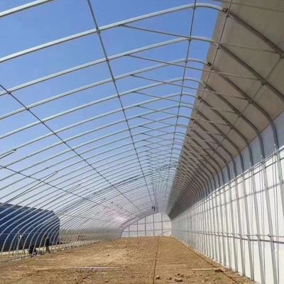 Hot-DIP Galvanized Steel Pipe Structure Multi-Span Gewächshaus für hydroponisches System und verschiedene Pflanzen