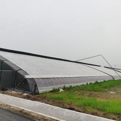 Hot-DIP Galvanized Steel Pipe Structure Multi-Span Gewächshaus für hydroponisches System und verschiedene Pflanzen