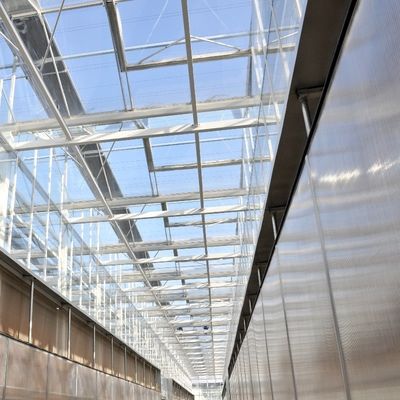 Sonnenlicht Gewächshaus Multispan Hydroponik Kunststofffolie Gewächshaus für gewerbliche Landwirtschaft