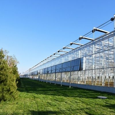 Sonnenlicht Gewächshaus Multispan Hydroponik Kunststofffolie Gewächshaus für gewerbliche Landwirtschaft