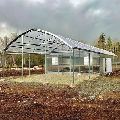 Multispan-Hydroponik Kunststofffolie Landwirtschaftliches Gewächshaus für kommerzielle Betriebe