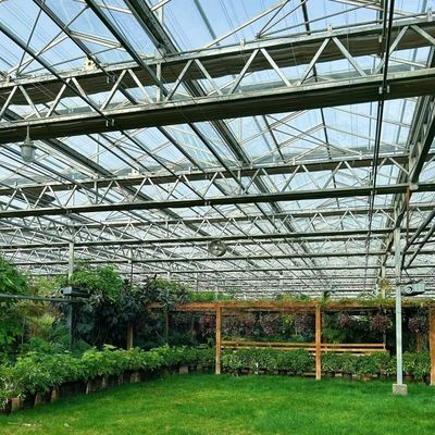 JX-A00126 Einlageglasgewächshaus für nachhaltiges Wachstum 100.000kg Bruttogewicht