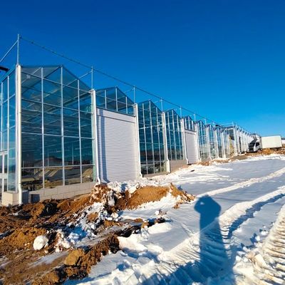 JX-A00126 Einlageglasgewächshaus für nachhaltiges Wachstum 100.000kg Bruttogewicht
