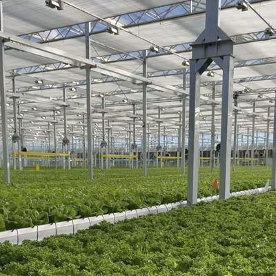 Große Glas-Gewächshaus-Oase Umweltfreundliche Lösung für Pflanzenanbaulösungen