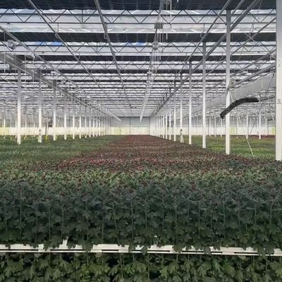 Große Glas-Gewächshaus-Oase Umweltfreundliche Lösung für Pflanzenanbaulösungen