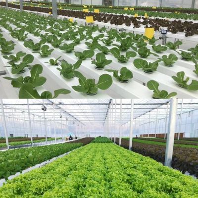 Baumaterialien Stahlkonstruktion Große Größe Gartenbau Gewächshaus mit Glasdach