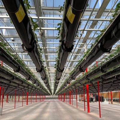 Baumaterialien Stahlkonstruktion Große Größe Gartenbau Gewächshaus mit Glasdach