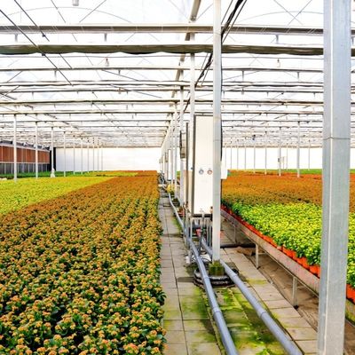 Baumaterialien Stahlkonstruktion Große Größe Gartenbau Gewächshaus mit Glasdach