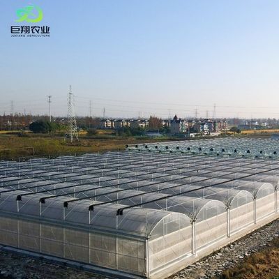 PE-Dachgewächshaus für Gemüse Tomaten Gurke Erdbeeren Vielseitig und anpassbar