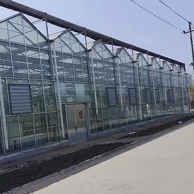 Lebendiger Garten mit Glasgewächshaus erschwingliche Versandkosten und Gewächshaus
