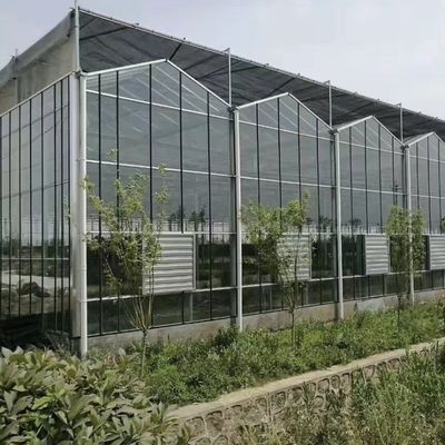 Doppelschichtiger Gewächshausdach mit guter Lichtdurchlässigkeit und Mehrfachspannfunktion