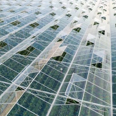 Wettbewerbsfähige Anfangszahlung Gewächshaus für botanische Oase