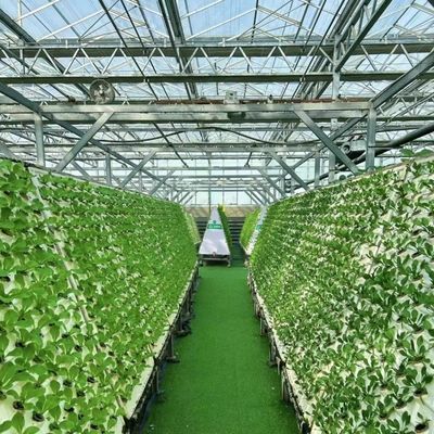 Wettbewerbsfähige Anfangszahlung Gewächshaus für botanische Oase