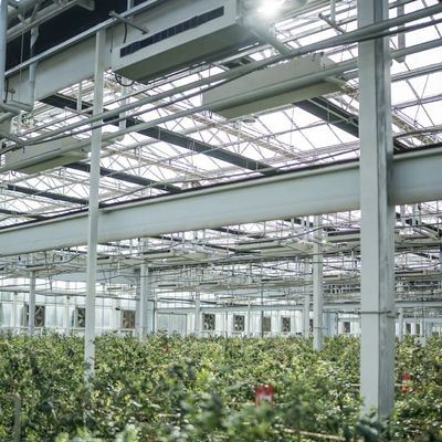Gewächshaus mit guter Lichtübertragung Größe 50,00cm * 60,00cm * 80,00cm