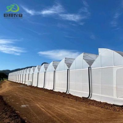 Mehrspann-/Einfachspann-Gewächshaus für Tomaten Erdbeeren Kunststofffolie/Glas/Polycarbonat