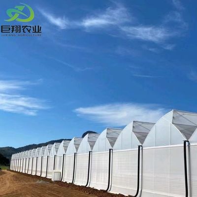 Mehrspann-/Einfachspann-Gewächshaus für Tomaten Erdbeeren Kunststofffolie/Glas/Polycarbonat
