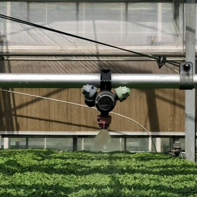Doppelschicht hydroponisches Glas Gewächshaus für den Blumenanbau erschwinglich und langlebig