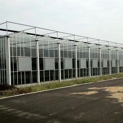 Mehrfachschattierendes Hydroponisches Glas Gewächshaus für Blüten innerhalb von US JX-A00249