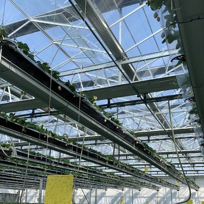 Gewächshaus mit Dachglas und Hydroponik-System