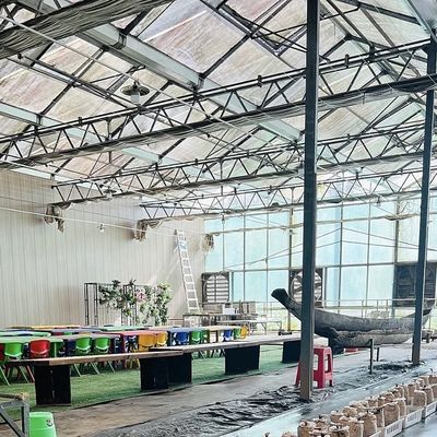 Großes Gewächshaus-Hydroponisches System mit Leistungspaket Bruttogewicht 100.000 kg