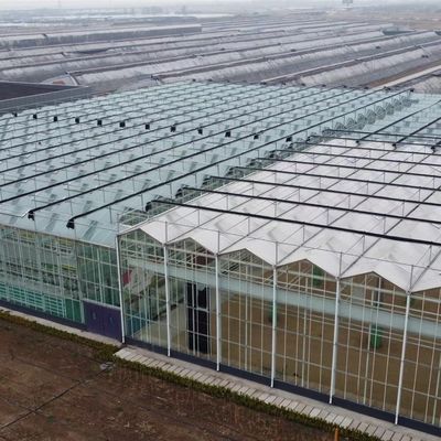 Großes Gewächshaus-Hydroponisches System mit Leistungspaket Bruttogewicht 100.000 kg