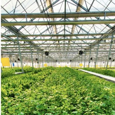 Hydroponisches Glasgewächshaus für den Blumenanbau 30-Tage-Rückgabe Rückerstattung eines Dachtyps