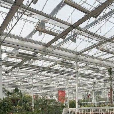 Doppelschicht-Mehrsystem-Glasgewächshaus für den Blumenbau Erste Zahlung erforderlich