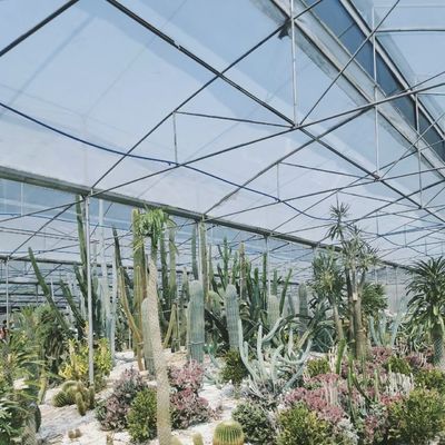 Hydroponisches Glas Gewächshaus für den Blumenwuchs in einem Dach