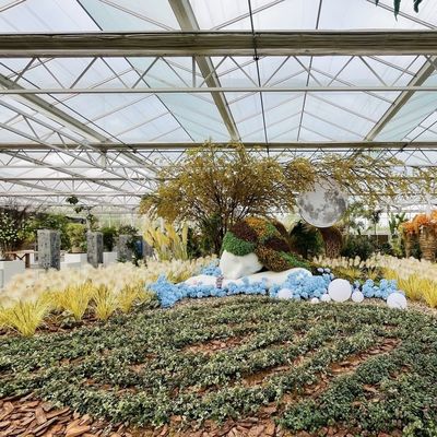 Anforderung Glas Gewächshaus mit Blumensystem und angepasste Dachform