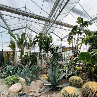 Anforderung Glas Gewächshaus mit Blumensystem und angepasste Dachform